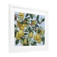 thumbnail image 2 of Stupell Industries Modern Sunshine Citrus Tree White Framed Print Under Glass, 16 x 13, by June Erica Vess, 2 of 8