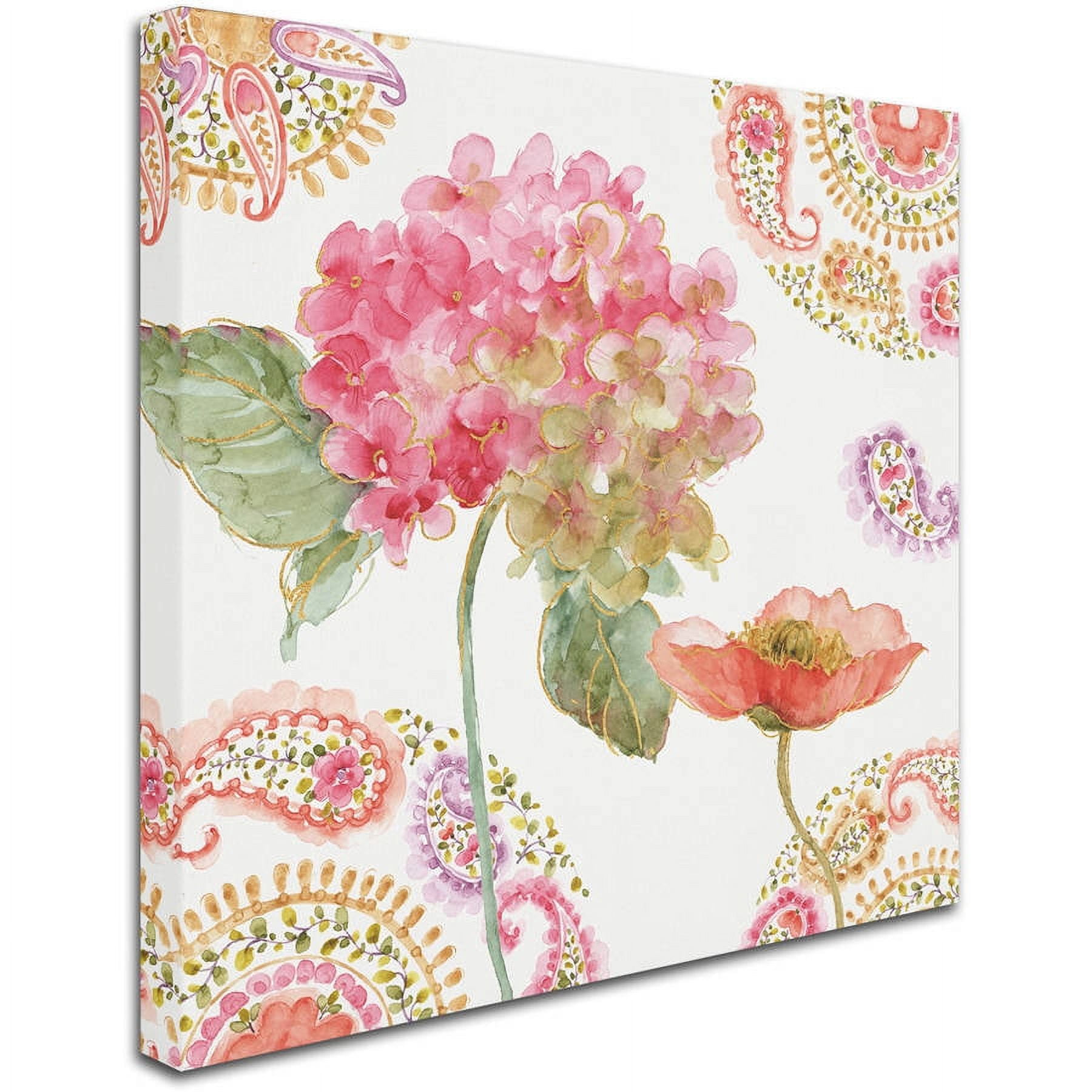 Trademark Fine Art "Rainbow Seeds Paisley II" Canvas Art by Lisa Audit