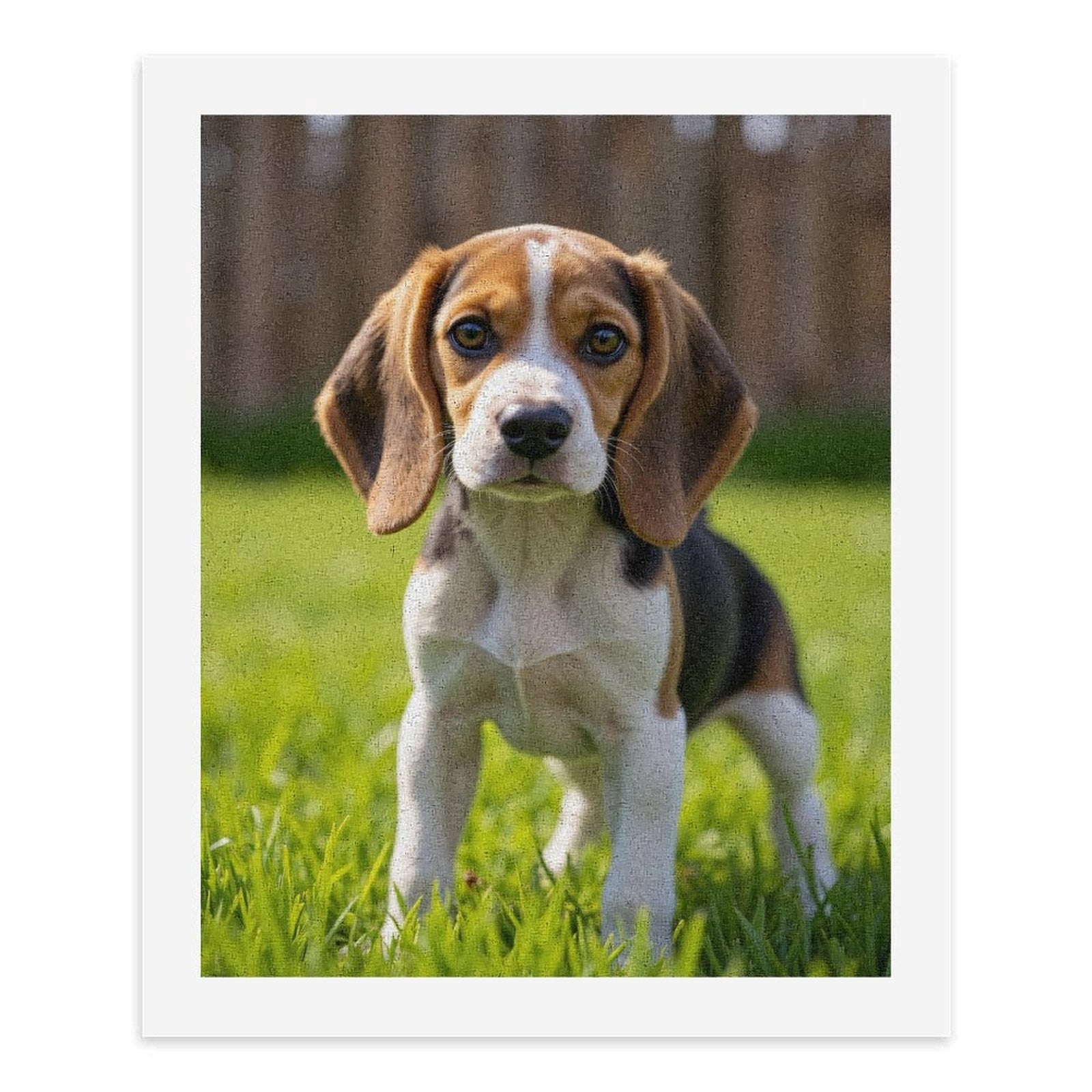 Paint by Numbers Kit for Adults, Beagle Puppy In Sunny Garden Paint by Numbers, Easy Paint by Numbers Kit for Adults Beginner, DIY Adult Paint by Number Kits on Canvas, 12x16in Home Decor