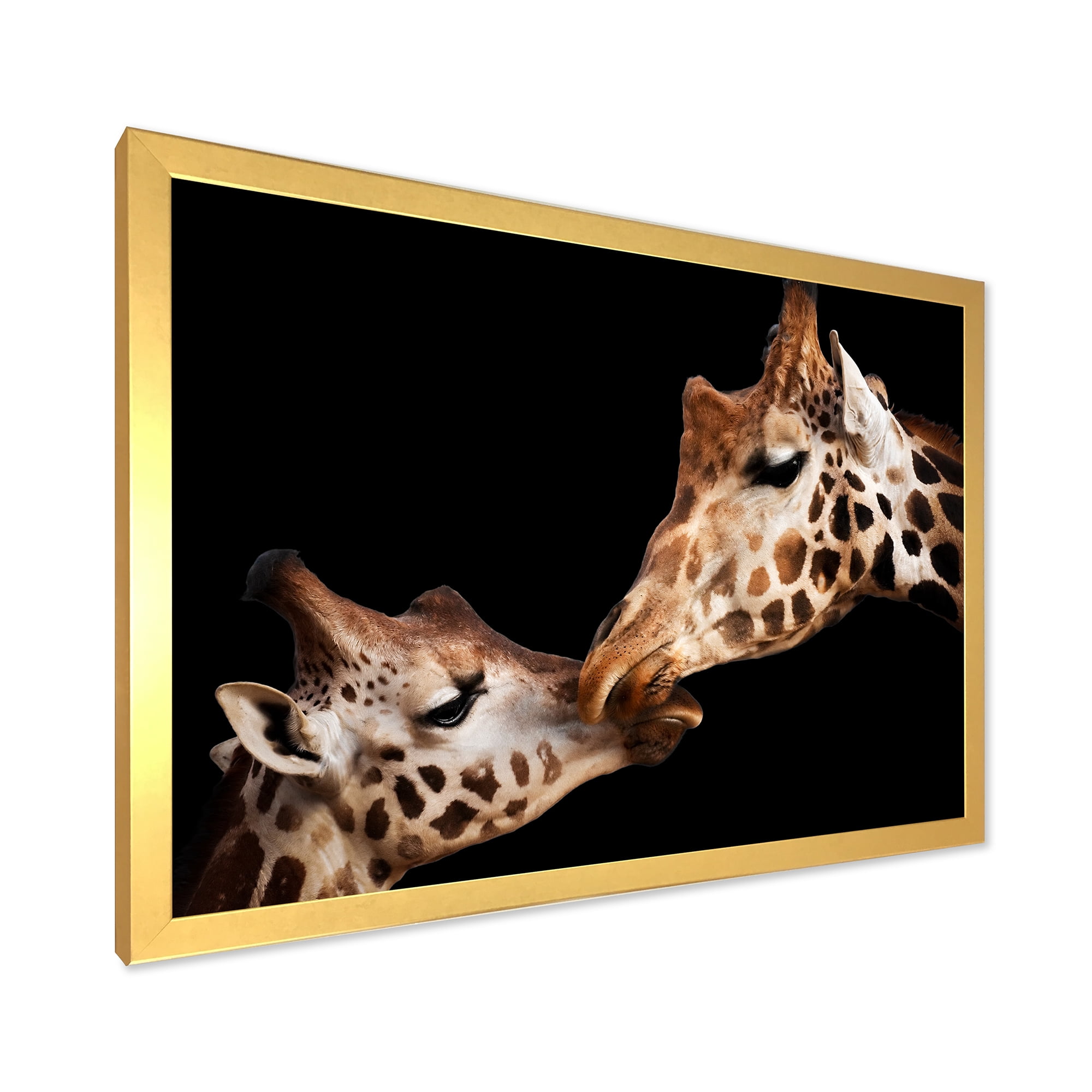 Designart 'Close UP Of Two Giraffes Kissing II' Farmhouse Framed Art Print