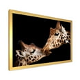 thumbnail image 2 of Designart 'Close UP Of Two Giraffes Kissing II' Farmhouse Framed Art Print, 2 of 4