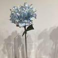 thumbnail image 2 of HYDRANGEE  BLEU, 2 of 3