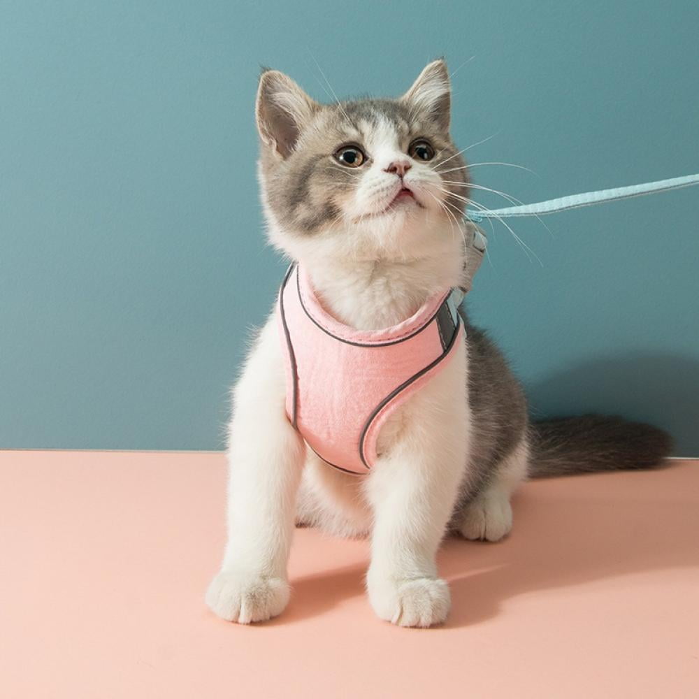 AVAIL Pet Cat Harness And Leash Set - Reflective Padded Dog Harness Small Pets Cat Puppy Vest for Chihuahua Bulldog Suede Adjustable Comfort No Pull Puppy Vest Harnesses Walking