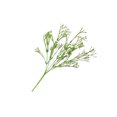 thumbnail image 3 of 2Pcs Artificial Flowers Fake Babysbreath Gypsophila Plants Bouquets Real Touch Vivid Plastic Wedding Home Decoration, 3 of 9