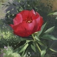 thumbnail image 2 of Strube, Ling 15x15 Black Ornate Wood Framed with Double Matting Museum Art Print Titled - Peony, 2 of 4