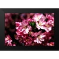thumbnail image 2 of Hausenflock, Alan 14x11 Black Modern Framed Museum Art Print Titled - Cherry Blossoms I, 2 of 5