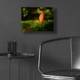 thumbnail image 5 of Epic Art 'Leaf and Ant' by Philippe Sainte-Laudy, Acrylic Glass Wall Art, 16"x12", 5 of 8