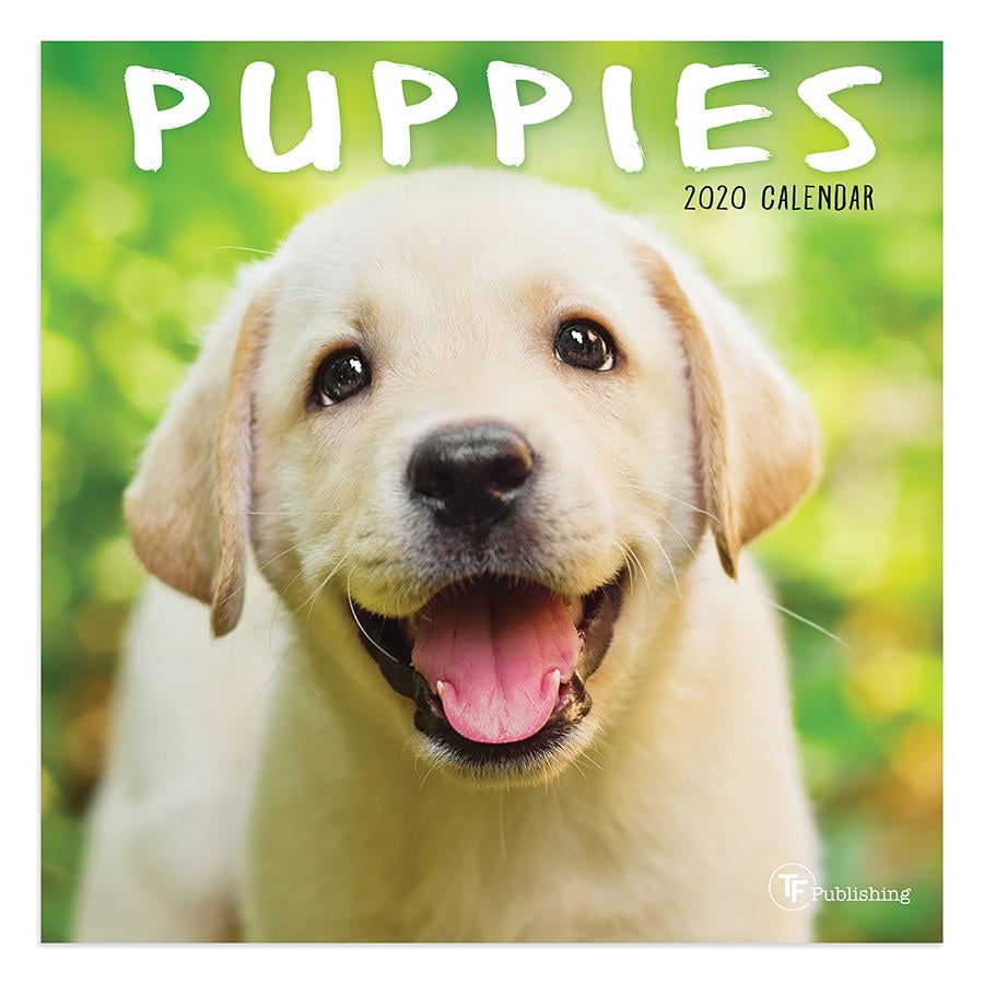 2020 Puppies Mini Calendar