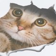 thumbnail image 4 of Advancent 1 unidad de pegatinas decorativas de pared 3D de gato bonito de dibujos animados pegatinas de cubierta de de baño 21*29cm Juegos de accesorios de baño, 4 of 6