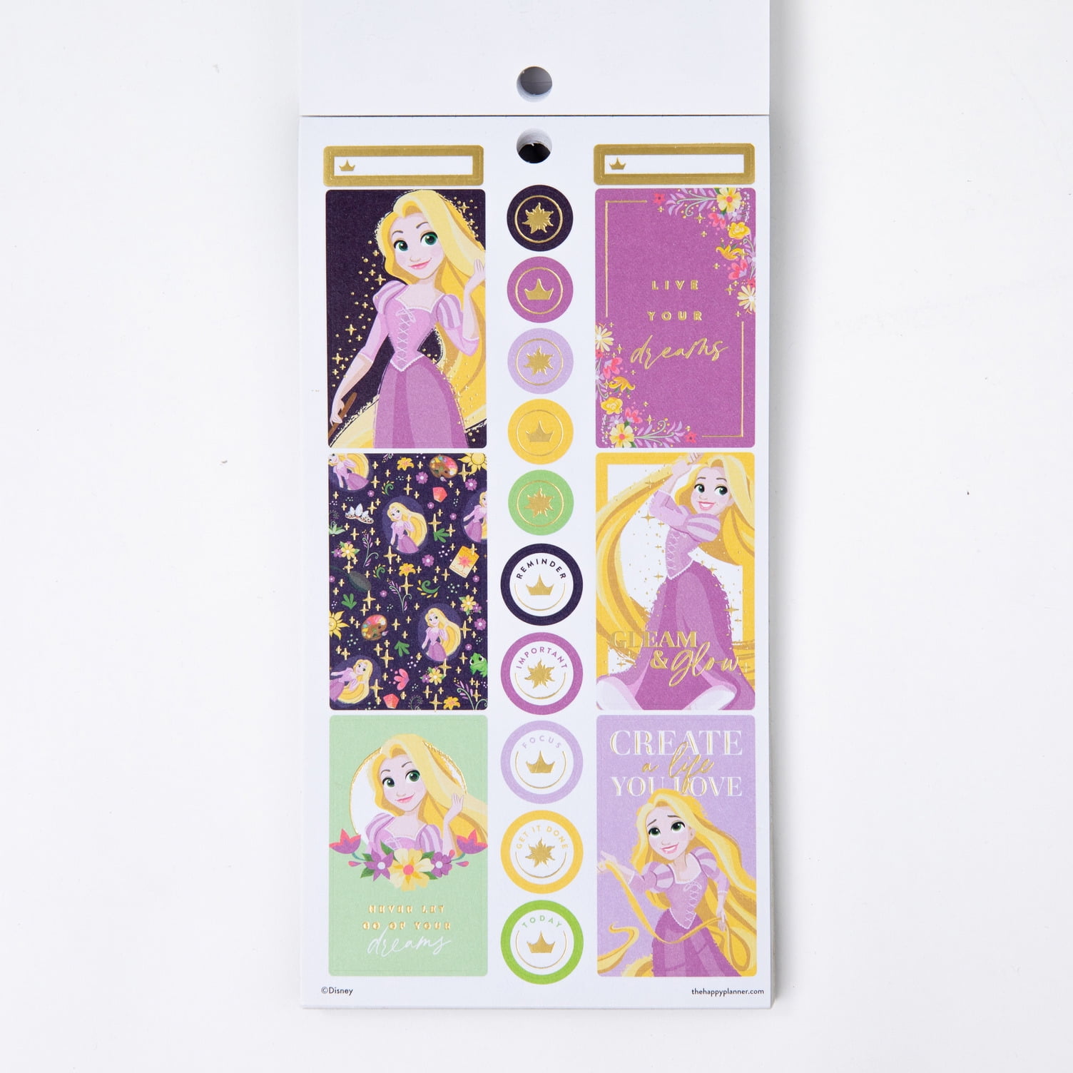 Classic Size #607 Disney Princesses Happy Planner Sticker 