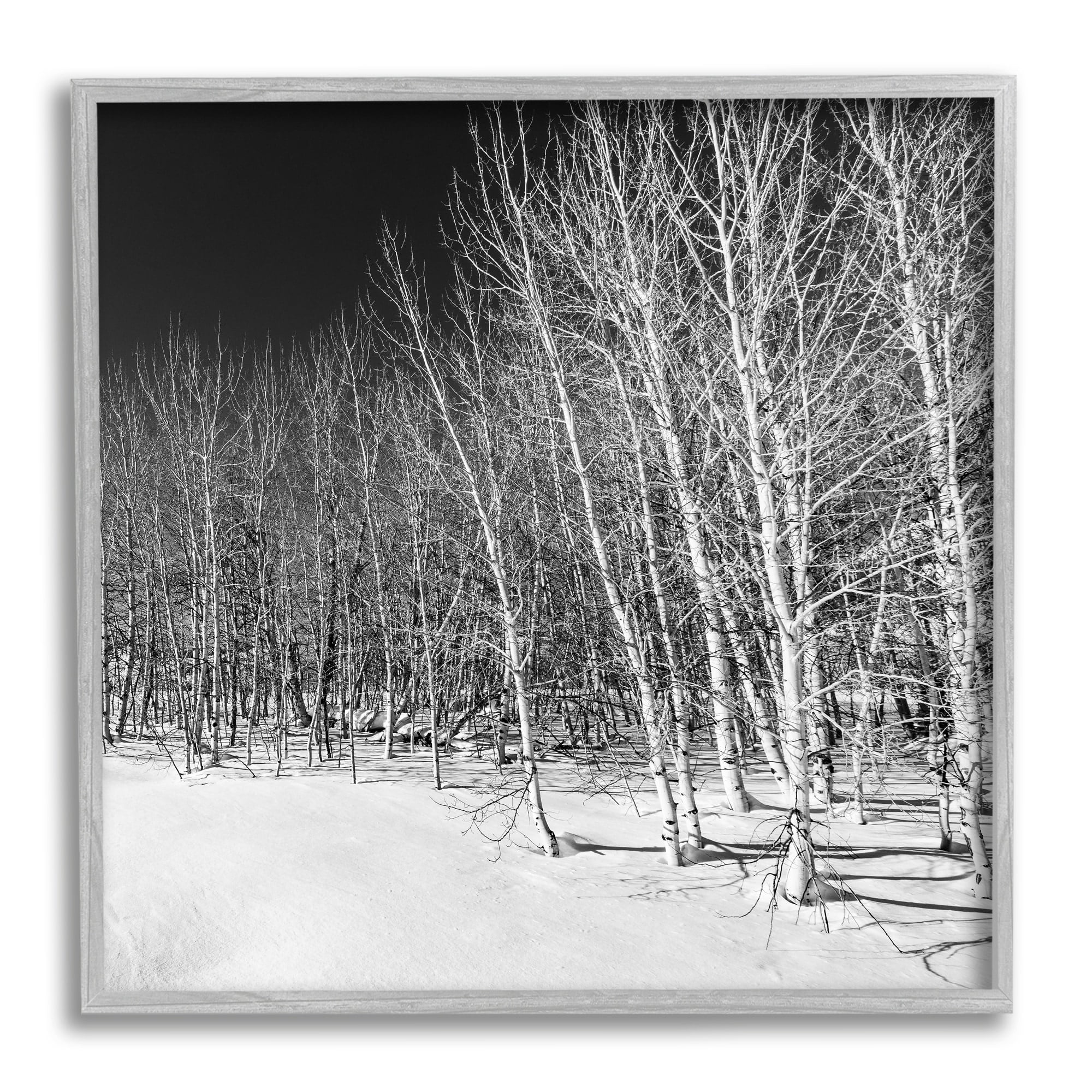 Stupell Industries Mysterious Snowy Forest Looming Nighttime Birch Trees Photograph Gray Framed Art Print Wall Art, Design by Steve Smith
