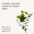thumbnail image 3 of Spray corporal Bath & Body Works para aromaterapia, eucalipto, 150 ml, 2 unidades, 3 of 6