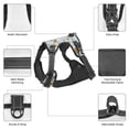 thumbnail image 3 of Naloa Carrot Rabbit Pet Harness Vest with Traction Rope, Adjustable No-Choke Dog Vest for Outdoor, Walking - Small, 3 of 4