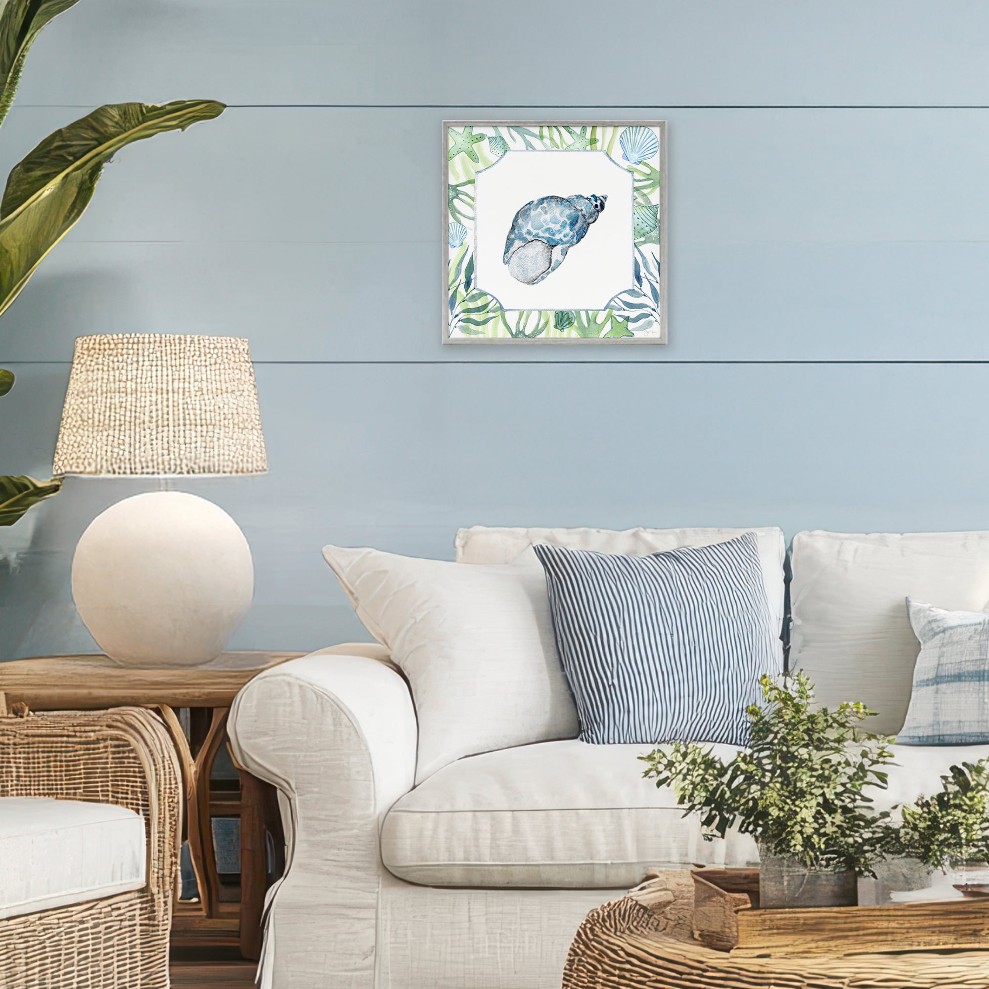 Stupell Industries Spotted Cowrie with Seaweed Gray Framed Giclee Art, design by Janet Tava
