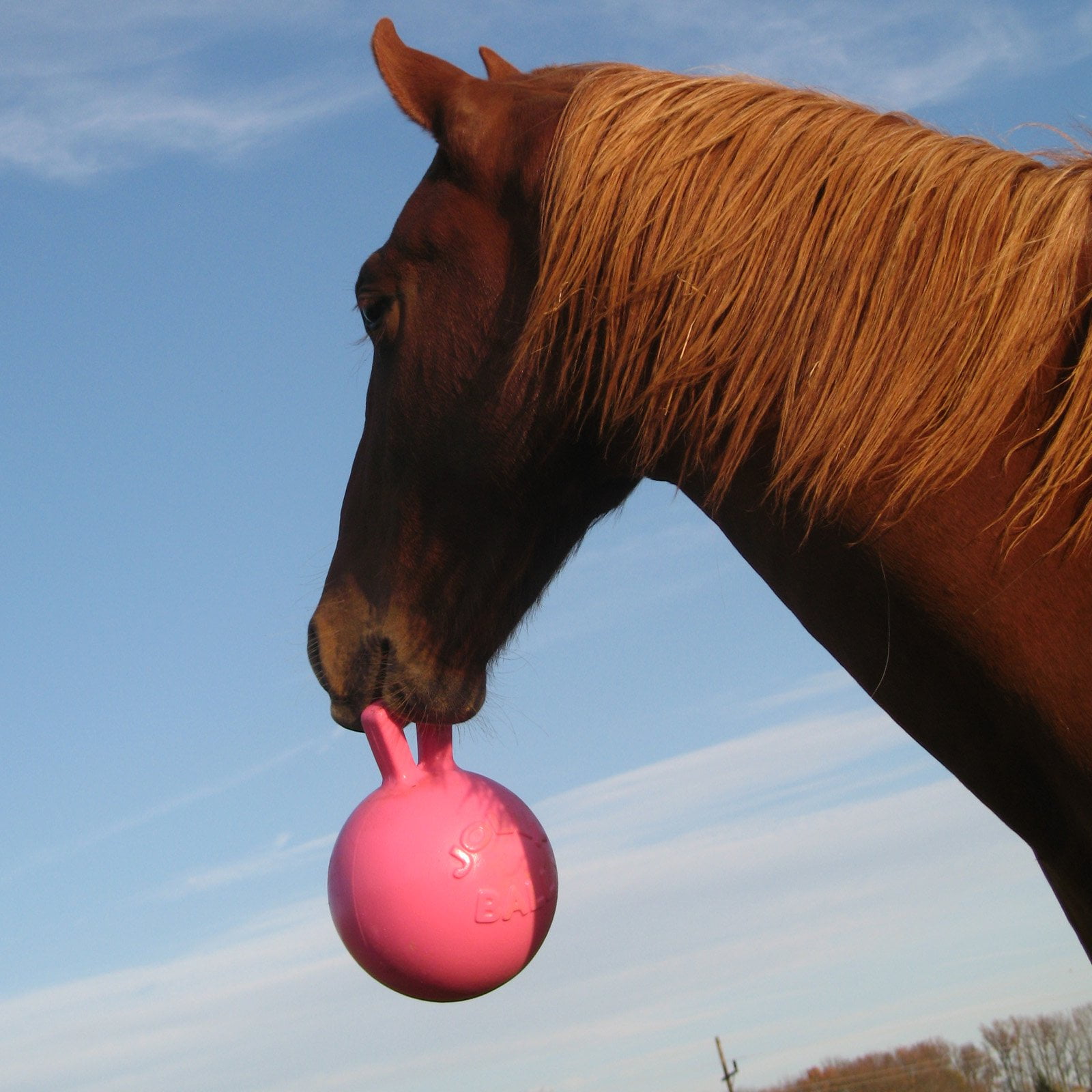 jolly ball horse toy