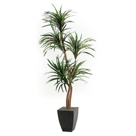 D&W Silks D and W Silks Dracaena Tree Silk Plant
