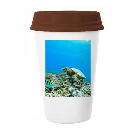 

Ocean Sea Turtle Fish Science Nature Picture Mug Coffee Drinking Glass Pottery Cerac Cup Lid