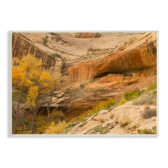 Stupell Industries Desert Foliage Landscape Southwestern Canyon Cliff Nature Photography Unframed Art Print Wall Art, 10 x 15