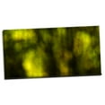 thumbnail image 2 of Gango Home Decor Dream Forest I by Rita Crane (Ready to Hang); One 36x18in Hand-Stretched Canvas, 2 of 4