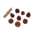thumbnail image 3 of Juguete de Cono de Pino ANGGREK para Loros Juguete Colgante Resistente A Mordeduras, 3 of 8