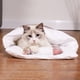 thumbnail image 2 of Pet Nest Wltoys L号（7-2斤）, 2 of 8