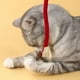 thumbnail image 4 of Juguete de cuerda para masticar para gatitos, entretenimiento personal, molar, hierba gatera, gatitos, gatitos, gatos, suministros para burlarse, cuerda de algodón, 4 of 6