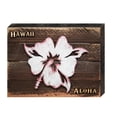 thumbnail image 1 of Designocracy 98421-12 Hibiscus Flower Art on Board Wall Decor, 1 of 1