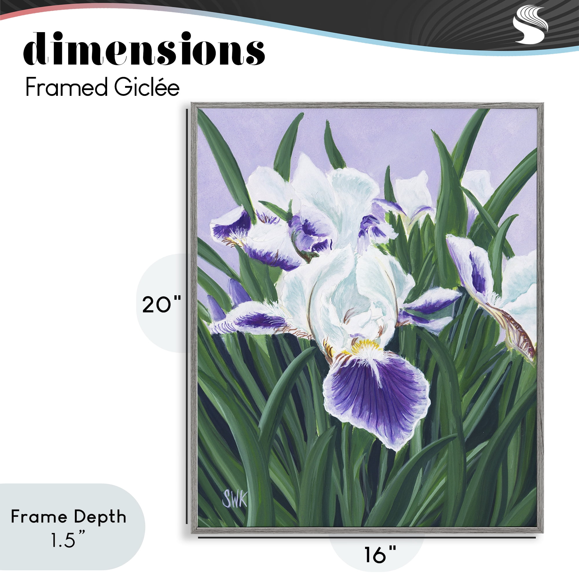 Stupell Industries Purple & White Irises Gray Framed Giclee Art, design by Sarah Waldron Kimball