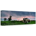 thumbnail image 2 of Wayne Bradbury Photography 'End of The Road' Canvas Art, 2 of 4