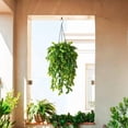 thumbnail image 4 of Artificial Faux Hanging Plants Basket for Spring Summer Outdoor Decoration, Fake Eucalyptus Plant UV Resistant Look Real for Outside Porch Home Patio Balcony Yard(Eucalyptus), 4 of 5