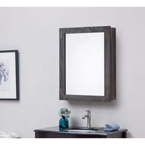 20 in. W x 26 in. H Rectangular Medicine Cabinet with Mirror