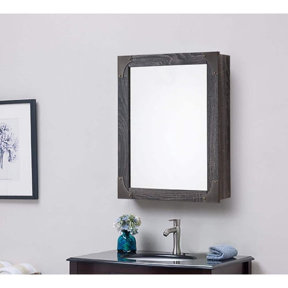 20 in. W x 26 in. H Rectangular Medicine Cabinet with Mirror