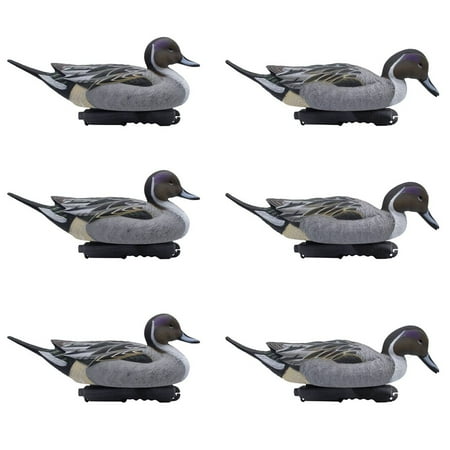 Final Approach Live Pintail Floater Duck Decoys 6 Pack