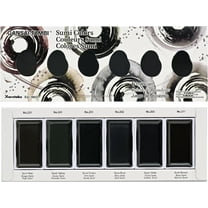 GANSAI TAMBI SUMI Colors 6 Colors Set, Watercolor Paint for Professional, for Calligraphy, Illustrations, Drawing, Black Ink, Made in Japan