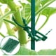 thumbnail image 1 of Envolturas de corbata de jardinería verde | Bandas de soporte para plantas | Entrenador de plantas de jardín | Bridas de goma blandas y reutilizables para tallos, ramas, enredaderas | Resistente a, 1 of 3