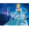 Cinderella Edible Image Photo Cake Frosting Icing Topper Sheet Birthday Party - 1/4 Sheet - 79193