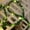 2M 20LED, variant on Artificial Vine Fairy String Lights Battery Operate Green Leaf Plants Hanging Light Fake Leaves Vine Lights for Home Kitchen Indoor Holiday Festival Wedding Party