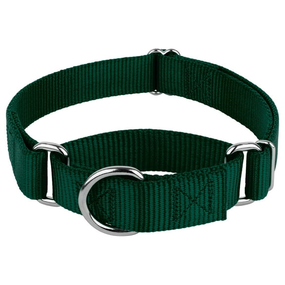 Country Brook Petz® Martingale Dog Collar - Training Collar with No Buckle (Green, Medium)