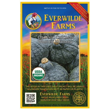 Everwilde Farms - 20 Organic Chicago Warted Hubbard Winter Squash Seeds - Gold Vault Jumbo Bulk Seed