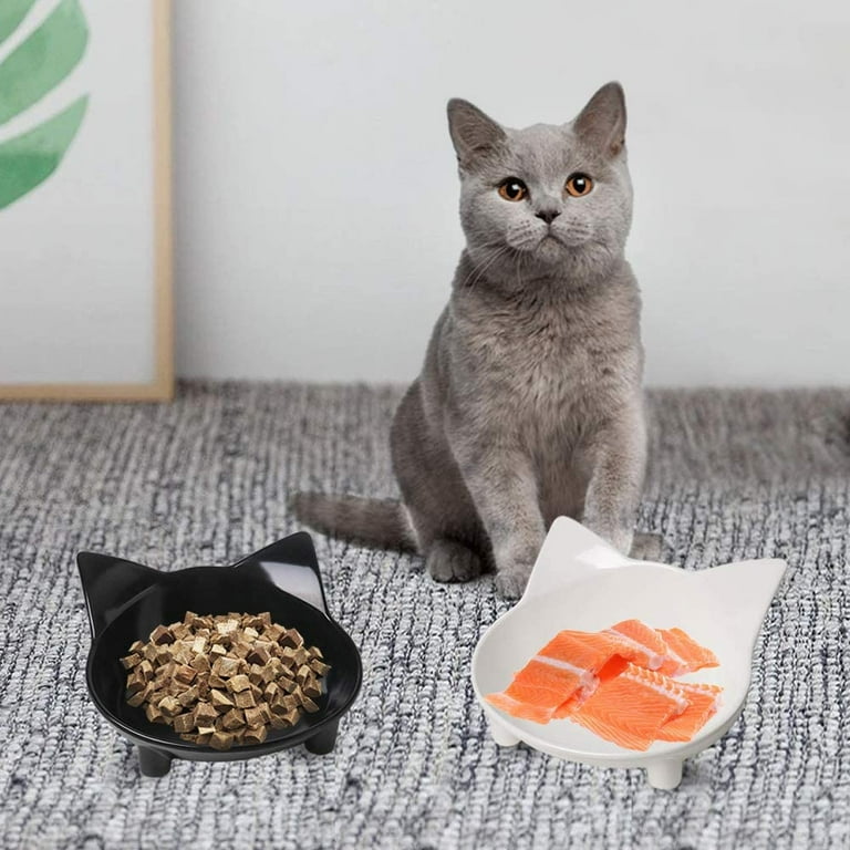 Whisker stress bowl 2025