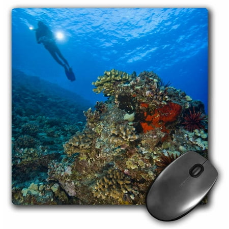3dRose Scuba divers, Molokini Crater, Maui, Hawaii - US12 SWS0128 - Stuart Westmorland, Mouse Pad, 8 by 8