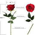 thumbnail image 2 of 12 Pcs Artificial Rose Flowers Red Blossom Rose Flowers Real Touch Silk Roses with Stem Rose Bouquets for Home Decoration Wedding Party Garden Floral Decor Valentine's Day Gift, 2 of 7