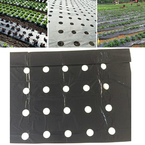 Goodhd 5-Hole Vegetable Garden Membrane Agricultural Plants Mulching Perforated Film