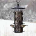 thumbnail image 5 of Perky Pet Brown Squirrel-Be-Gone III Wild Bird Tube Feeder - 8 lb Capacity, 5 of 13