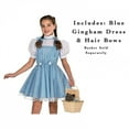 The Wizard of Oz: Dorothy Deluxe Costume for Girls by Rubies, Small ...