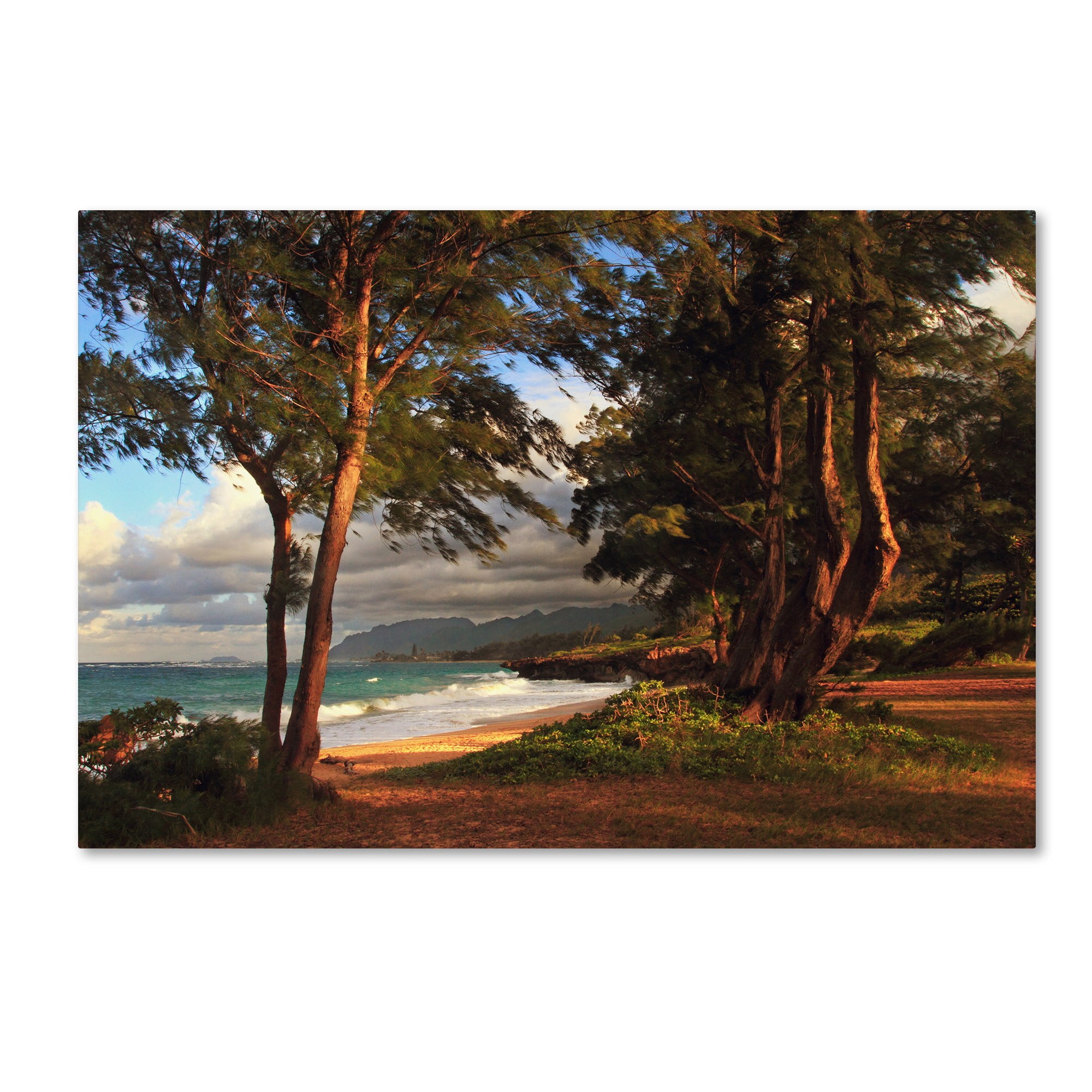 Trademark Fine Art "Hawaii 5" Canvas Art by Jason Shaffer