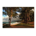 thumbnail image 2 of Trademark Fine Art "Hawaii 5" Canvas Art by Jason Shaffer, 2 of 4