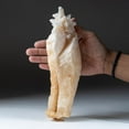 thumbnail image 2 of Stalactitic Calcite From Guilin Prefecture, Guangxi Zhuang Autonomous Region, China, 2 of 4