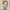 2# White my orders placed, variant on Dyegold Short Jumpsuits For Women Summer Dressy Casual Sleeveless Boho Rompers Clothes Loose Spaghetti Strap Overalls Bibs