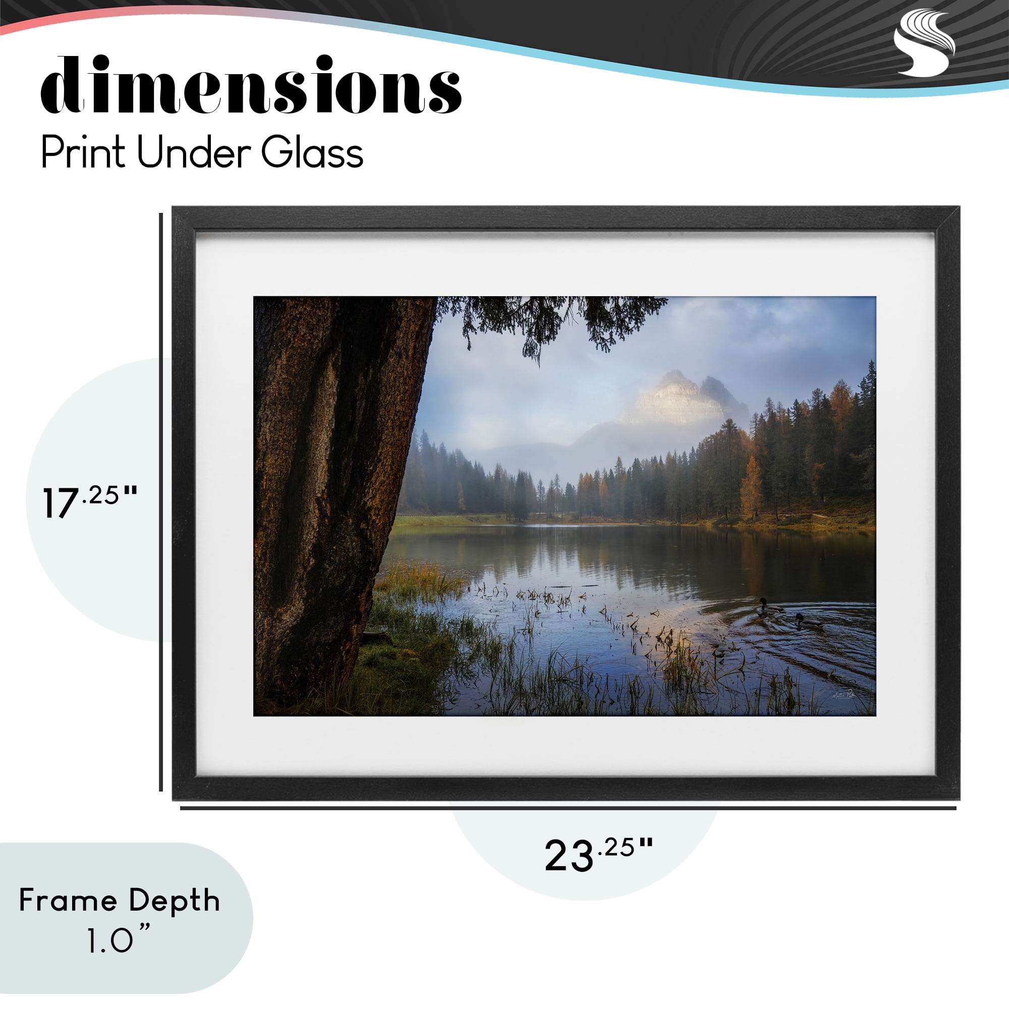 Stupell Industries Autumn Forest Reflections Black Framed Print Under Glass, design by Martin Podt